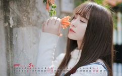 成人影片麻豆国产影片免费观看